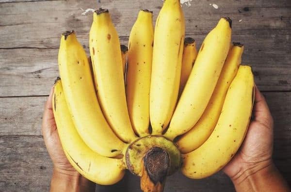 propiedades del platano