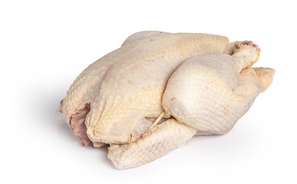 pollo de corral