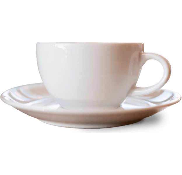 taza-santa-eugenia