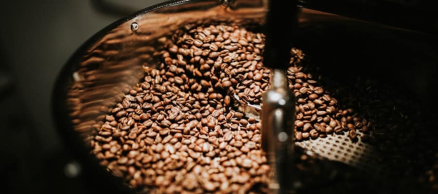 tipos de granos de cafe